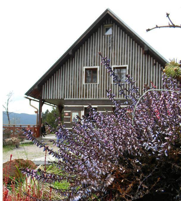 Hotel Horsky Ranc à Pec pod Sněžkou Extérieur photo